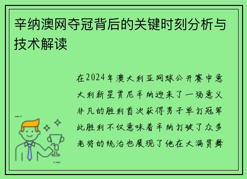 辛纳澳网夺冠背后的关键时刻分析与技术解读